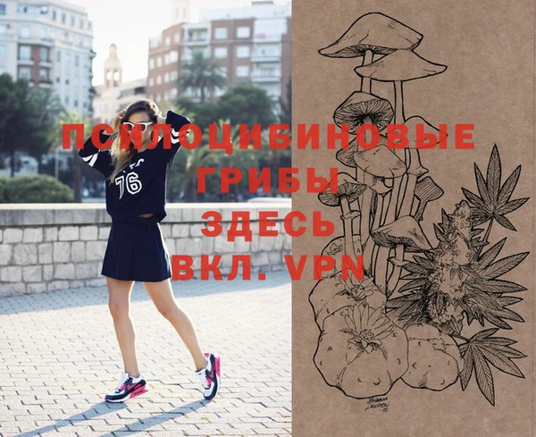 альфа пвп Осинники