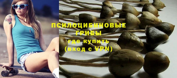 прущая мука Осташков
