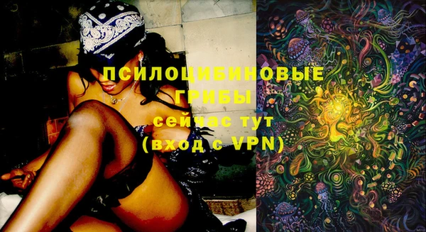 прущая мука Осташков