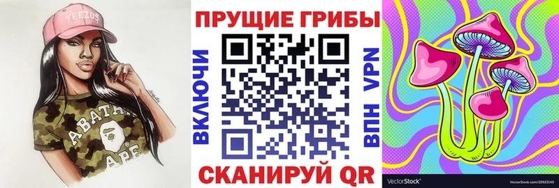 Псилоцибиновые грибы Cubensis  МЕГА ссылка  Кстово 