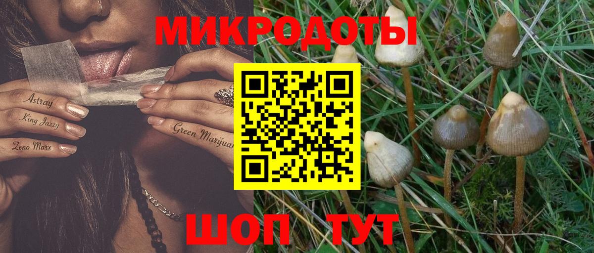 Кстово  Псилоцибиновые грибы Cubensis  Вход с VPN 